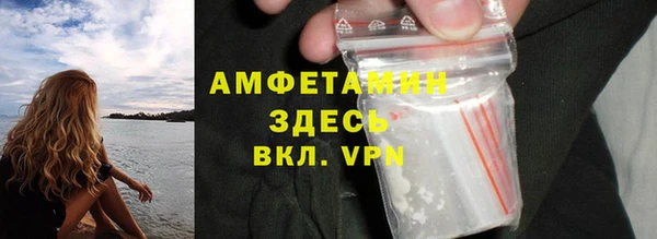 гидра Снежногорск