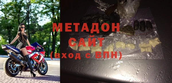 прущие грибы Дубна